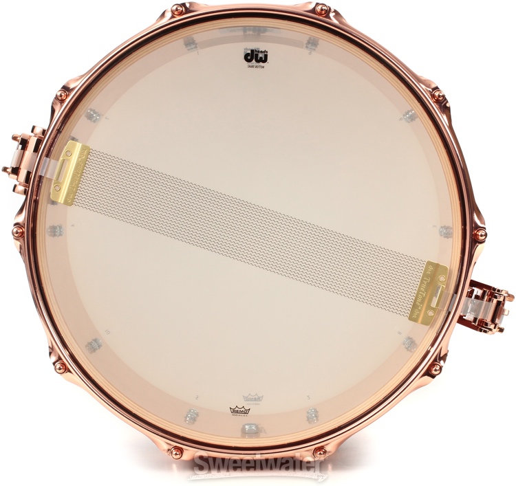 DW Collector's Series Icon Snare Drum Neil Peart Time Machine