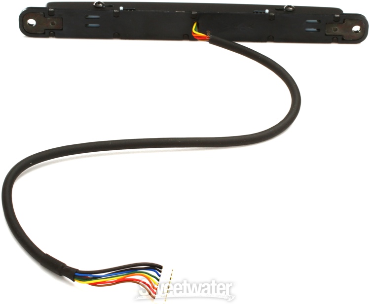Roland GKKitBG3 Divided Pickup Kit for Bass (internal mount