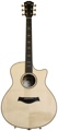 Taylor Spring 2013 Limited (616ce, Natural)