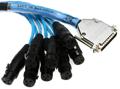 Avid DigiSnake DB25-XLRF (4')