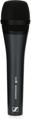Sennheiser e835 (Switchless)
