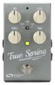 Click to learn more about the Source Audio True Spring Reverb Pedal