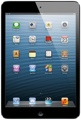 Apple iPad mini (Wi-Fi, 16GB Black)
