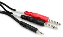 Hosa 3.5 mm TRS to Dual 1/4