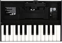 Click to learn more about the Roland K-25m Boutique Series Keyboard Unit