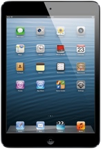 Apple iPad mini (Wi-Fi, 16GB Black)