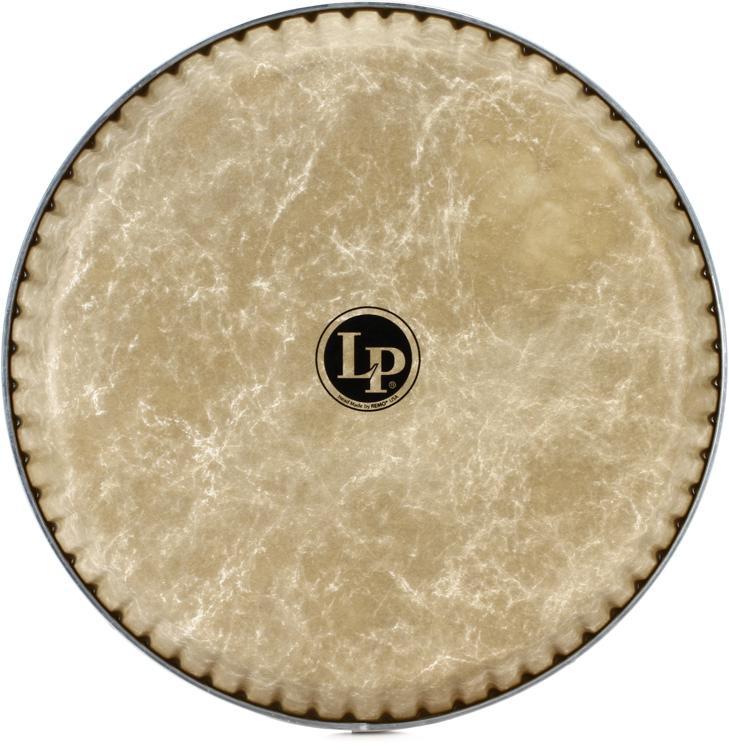 Latin Percussion Fiberskyn Conga Head 113/4" Conga