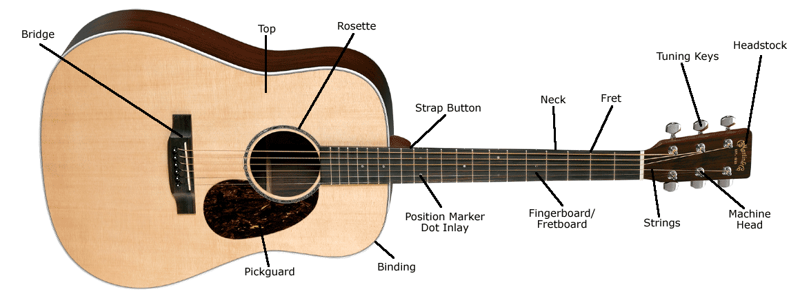 The anatomy of an acoustic guitar