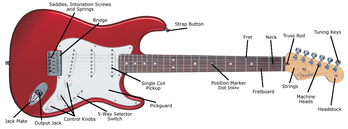 Electric Guitar Anatomy