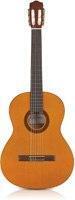 protegeseriesguitars-1361801863
