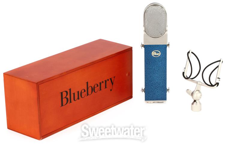 BLUE Blueberry Review