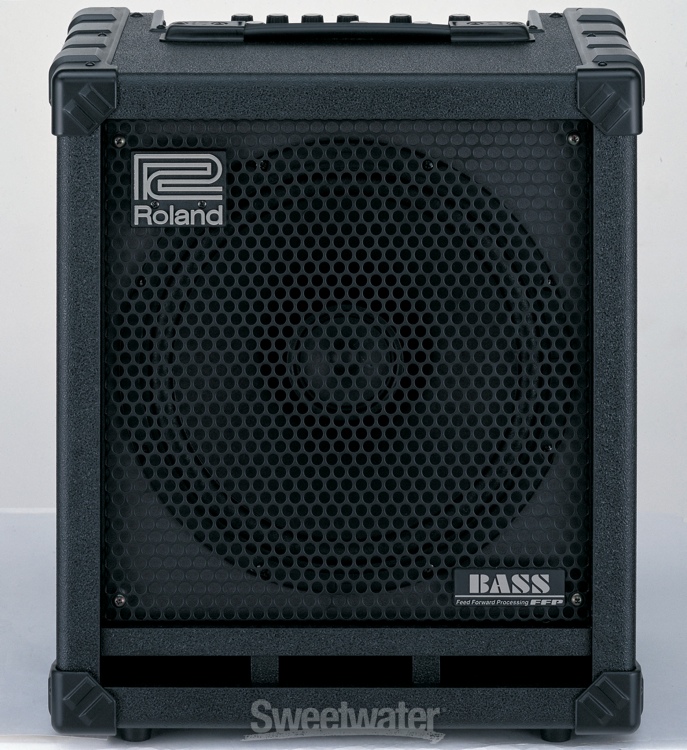 Roland CUBE-100 Bass Review