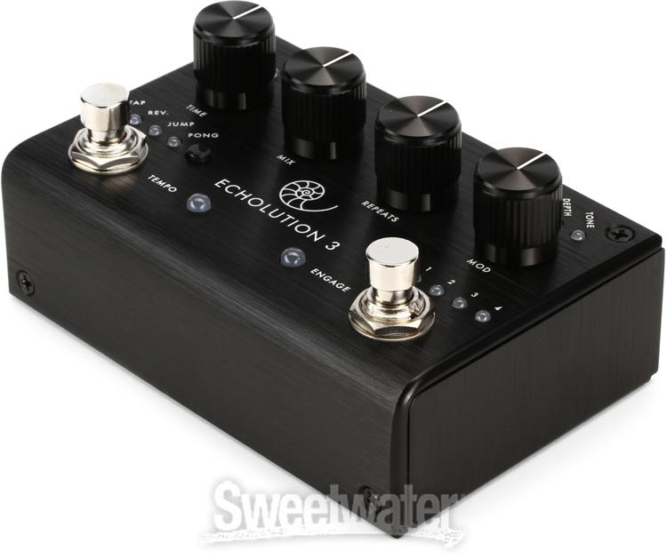 Pigtronix Echolution 3 Stereo Delay Pedal Demo InSync