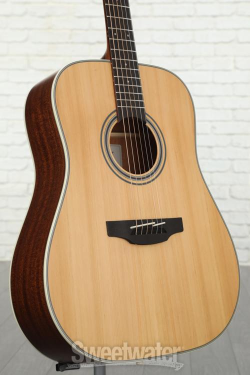 Takamine GD20 Dreadnought Acoustic Guitar Demo