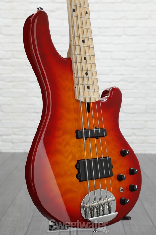 Lakland Skyline 5502 Deluxe 5string Bass Guitar Demo by Sweetwater