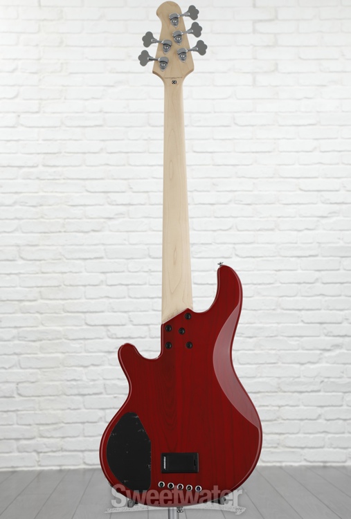 Lakland Skyline 5502 Deluxe 5string Bass Guitar Demo by Sweetwater
