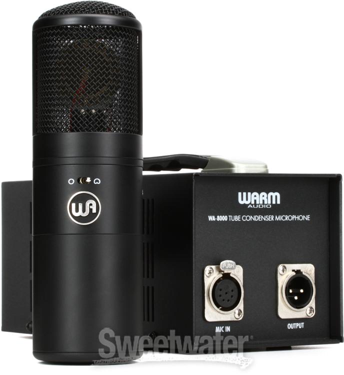 Warm Audio WA-8000 Tube Condenser Mic Demo - InSync