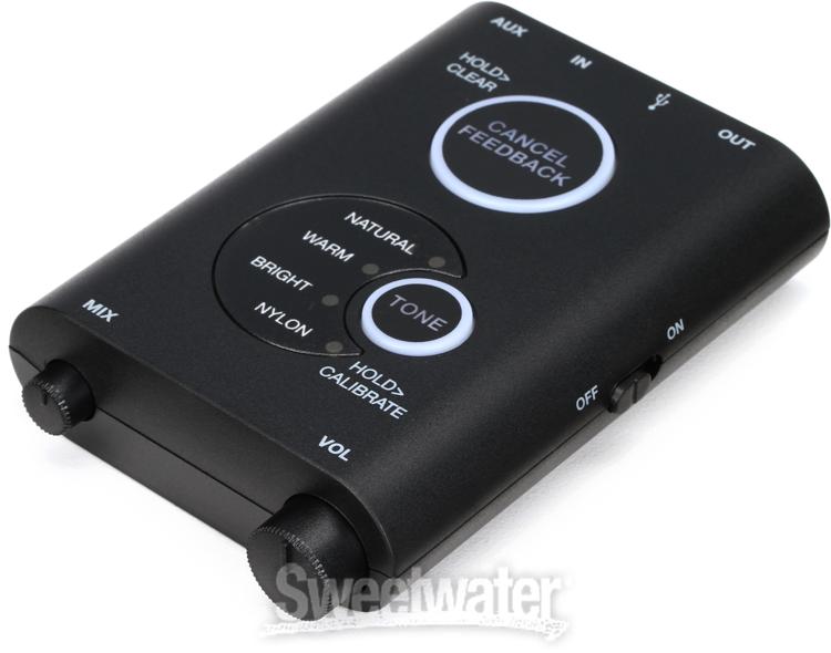 IK Multimedia iRig Acoustic Stage Review - InSync