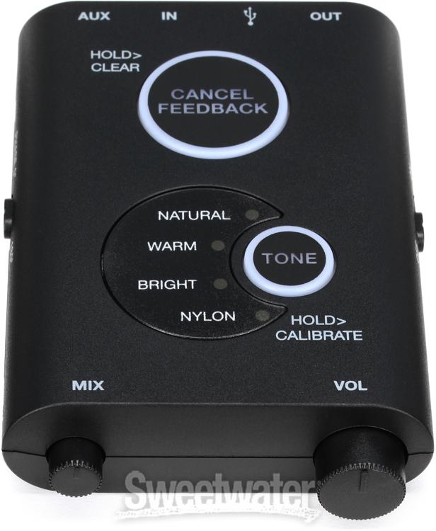 IK Multimedia iRig Acoustic Stage Review