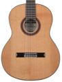 Click to learn more about the Cordoba C7 Nylon String Acoustic Guitar- Cedar
