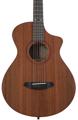 Click to learn more about the Breedlove Draco Series Concertina C Acoustic Guitar - Natural