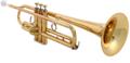 Click to learn more about the Yamaha YTR-8310ZII Professional Bb Trumpet - Gold Lacquer