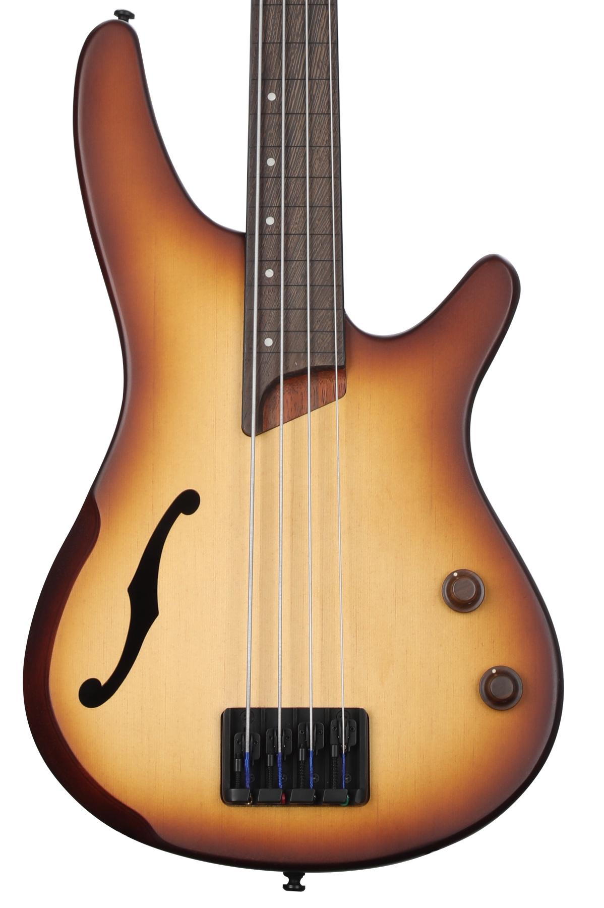 Fretless guitar for sale hotsell