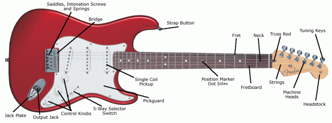 The Anatomy of an Electric Guitar