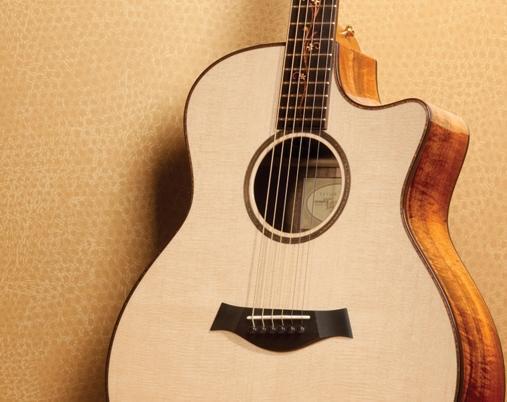 Guitars number taylor lookup serial FAQ: When