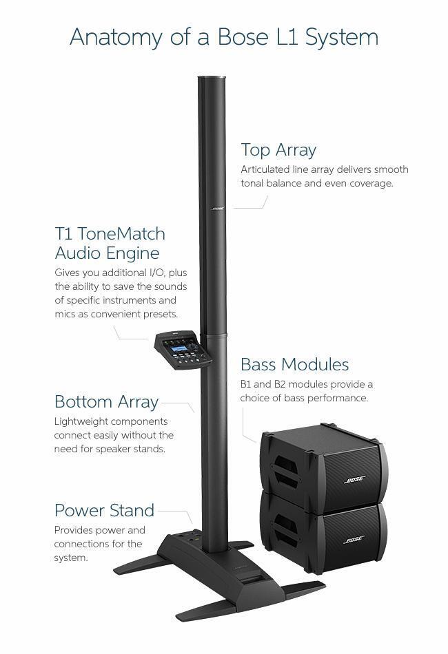 l1-infographic