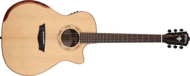 picture of Washburn Comfort G25SCE