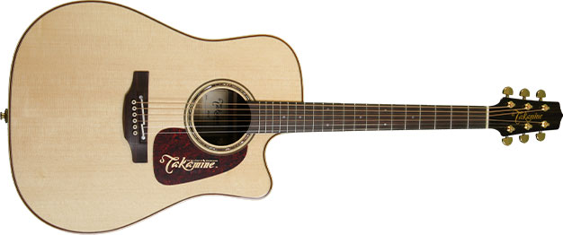 picture of Takamine P5DC