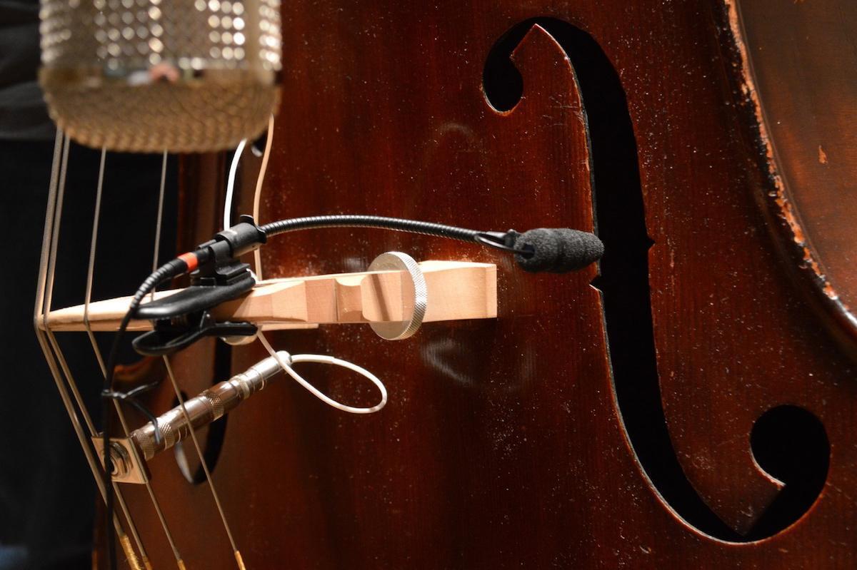 Choosing the Best Mic for Upright Bass with Sound Samples