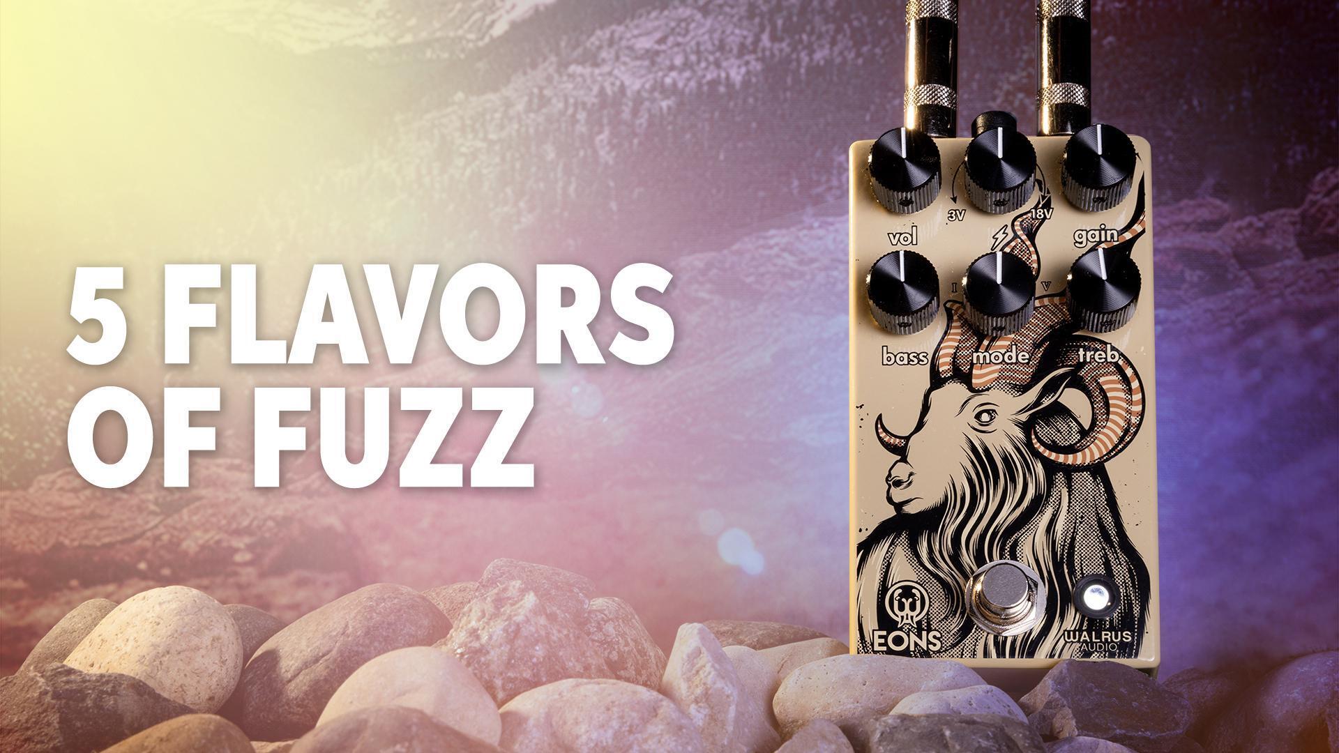 Walrus Audio Eons Five-State Fuzz Demo