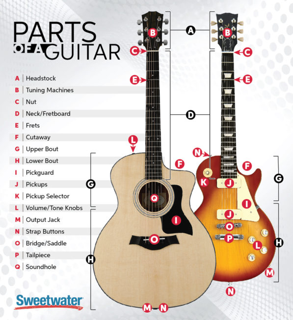 Parts of a Guitar