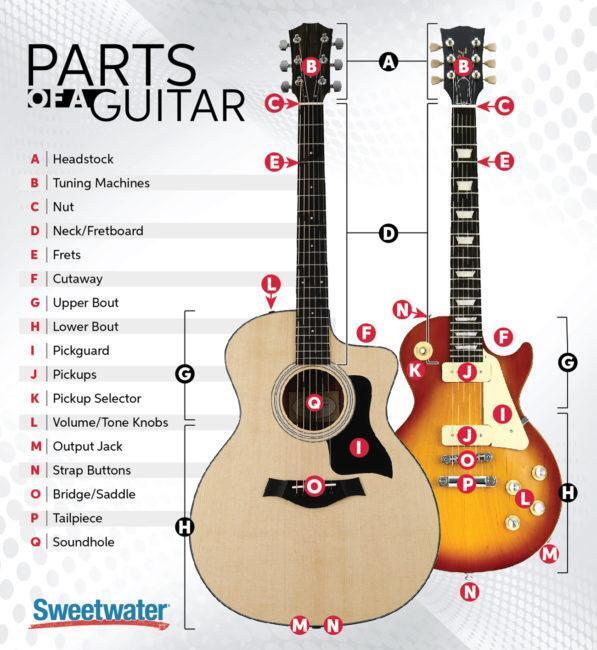 The ultimate guitar pick guide: material, thickness and tone - Inside Guitar