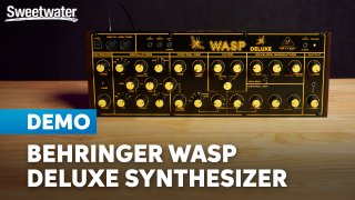 Behringer Wasp Deluxe: Vintage Sting Meets Modular Musicality