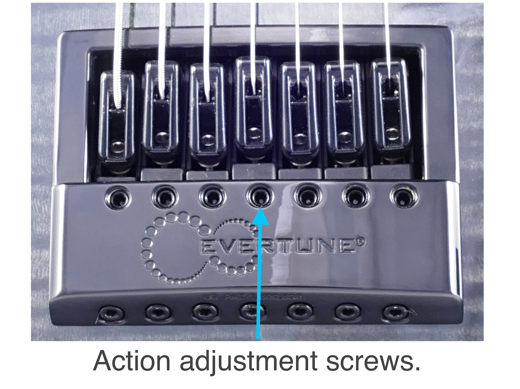 Evertune Tuning and Setup Guide Sweetwater
