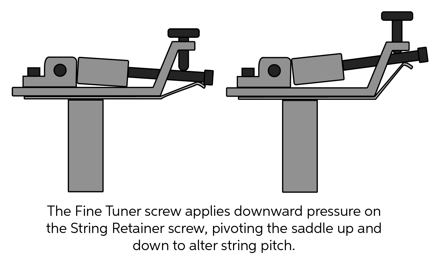 Floyd Rose Nut Size Chart