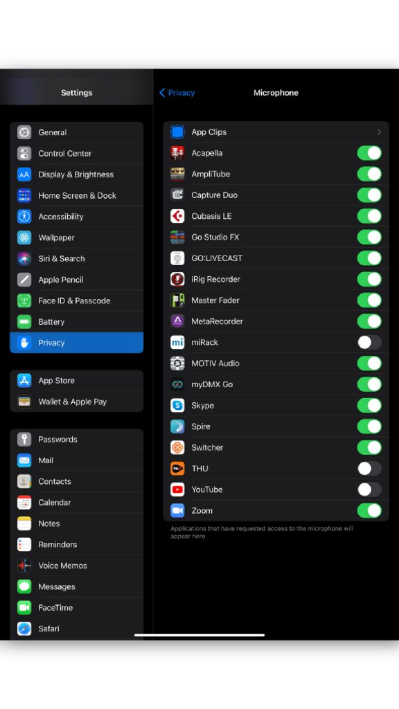 Privacy-Settings-for-iPad