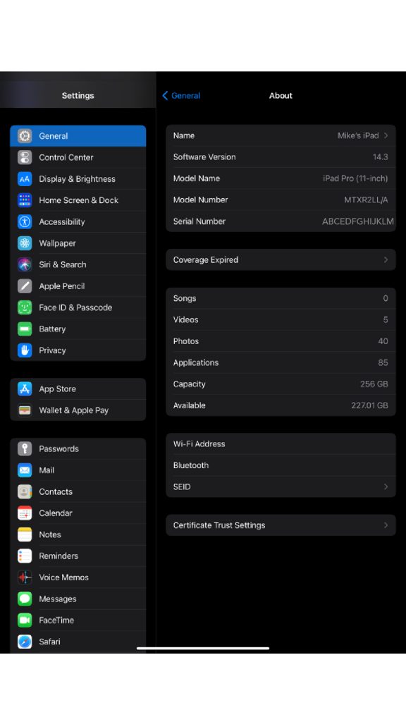 iPad-General-Settings-1