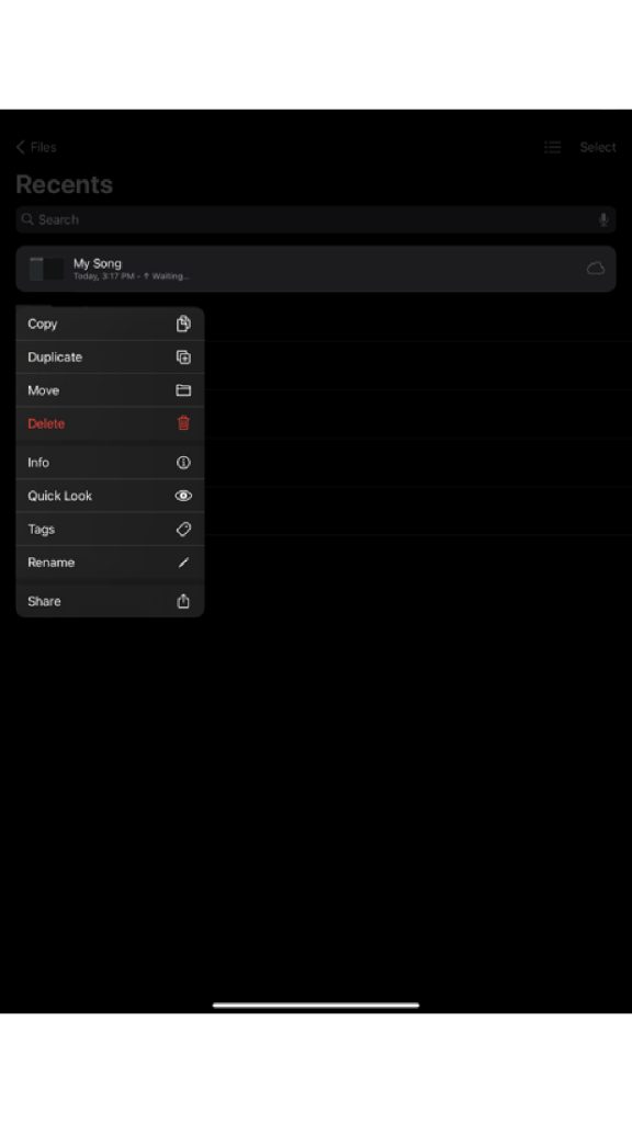 iPad-File-Selection