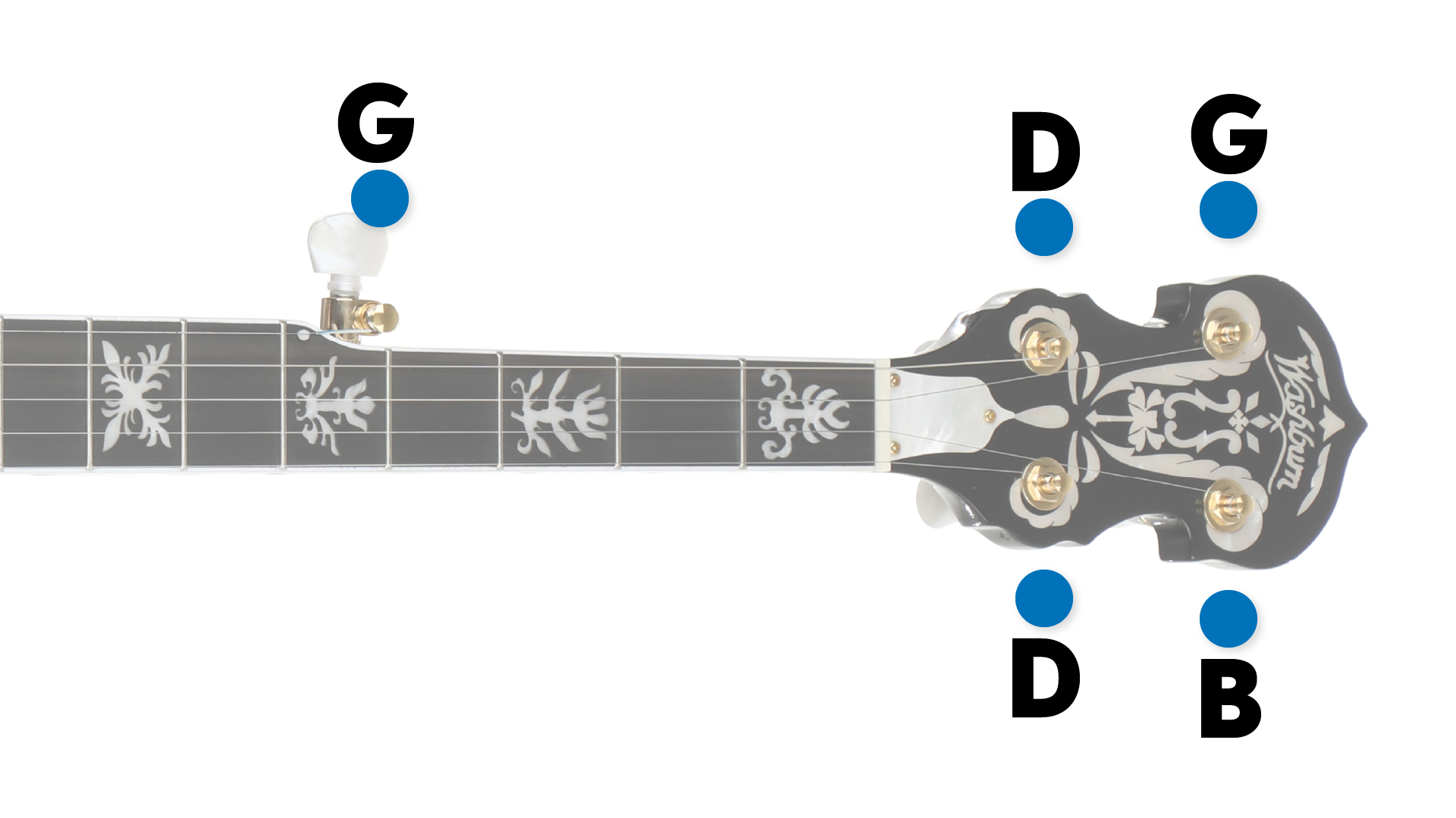 Banjo tuning guide how to tune a banjo sweetwater