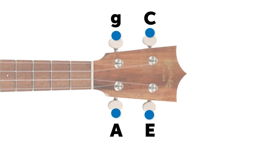 Medicinsk Desværre spise Ukulele Tuning Guide – How to Tune a Ukulele | Sweetwater