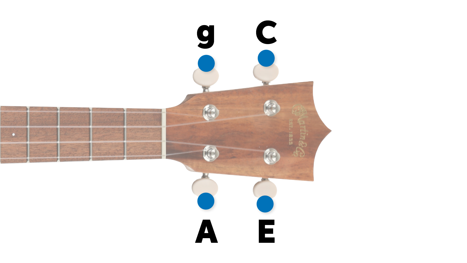 Ukulele Tuning Guide How to Tune a Ukulele Sweetwater