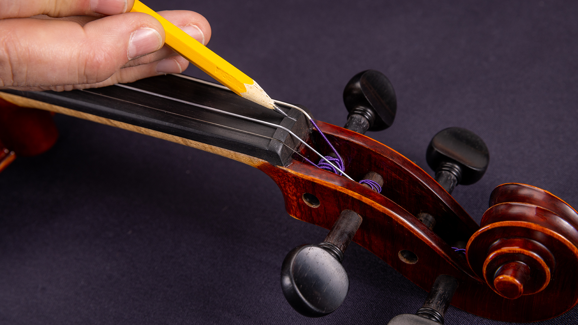 Violin and Viola Care and Maintenance Guide Sweetwater