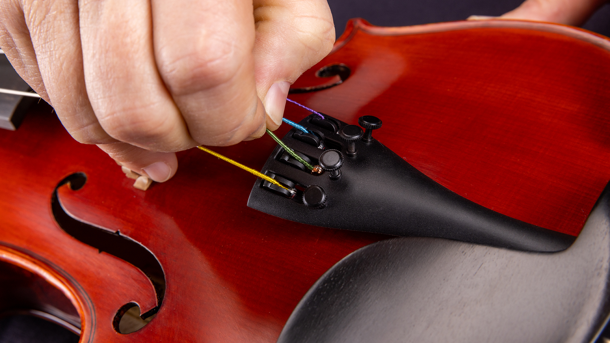 Violin and Viola Care and Maintenance Guide Sweetwater