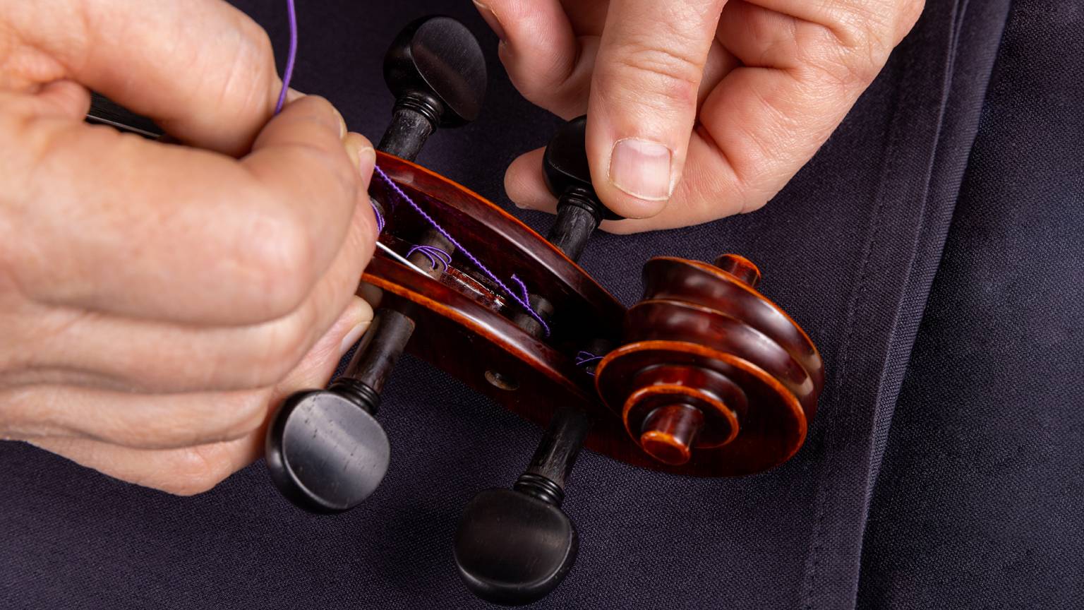 Violin and Viola Care and Maintenance Guide Sweetwater