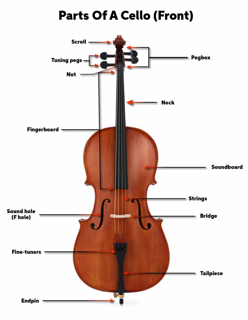 botella traidor discreción Cello Quickstart Guide | Sweetwater