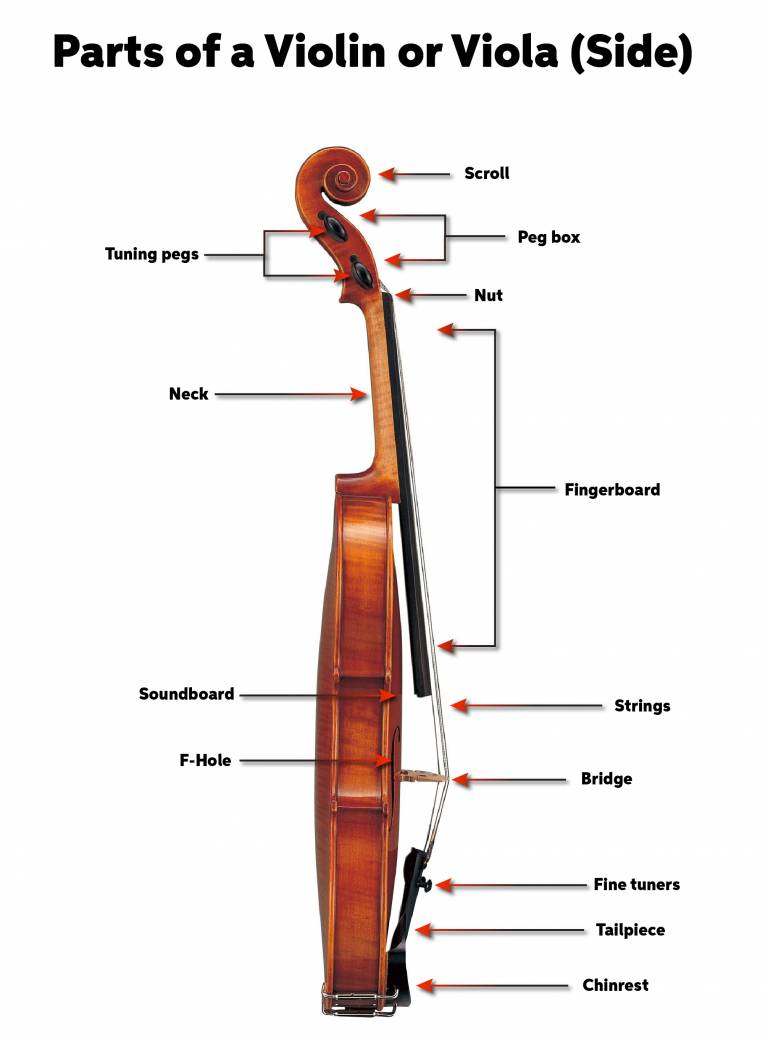 Violin and Viola Quickstart Guide Sweetwater